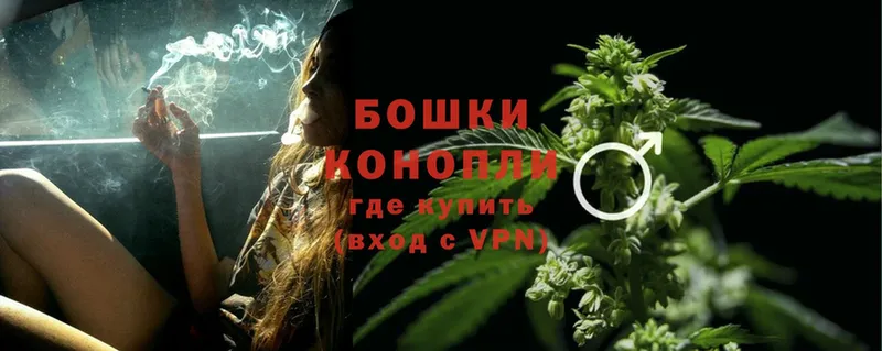 где можно купить   Котлас  МАРИХУАНА SATIVA & INDICA 